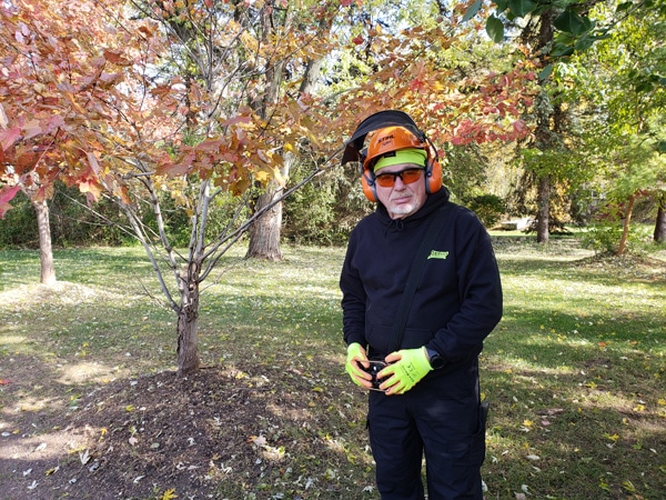 Tree-Stump-Removal